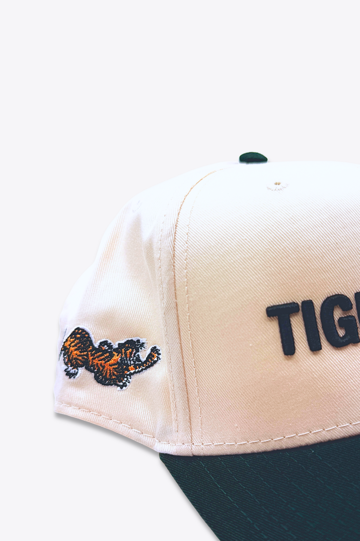 THE STANDARD SNAPBACK (Ntl/Olv)